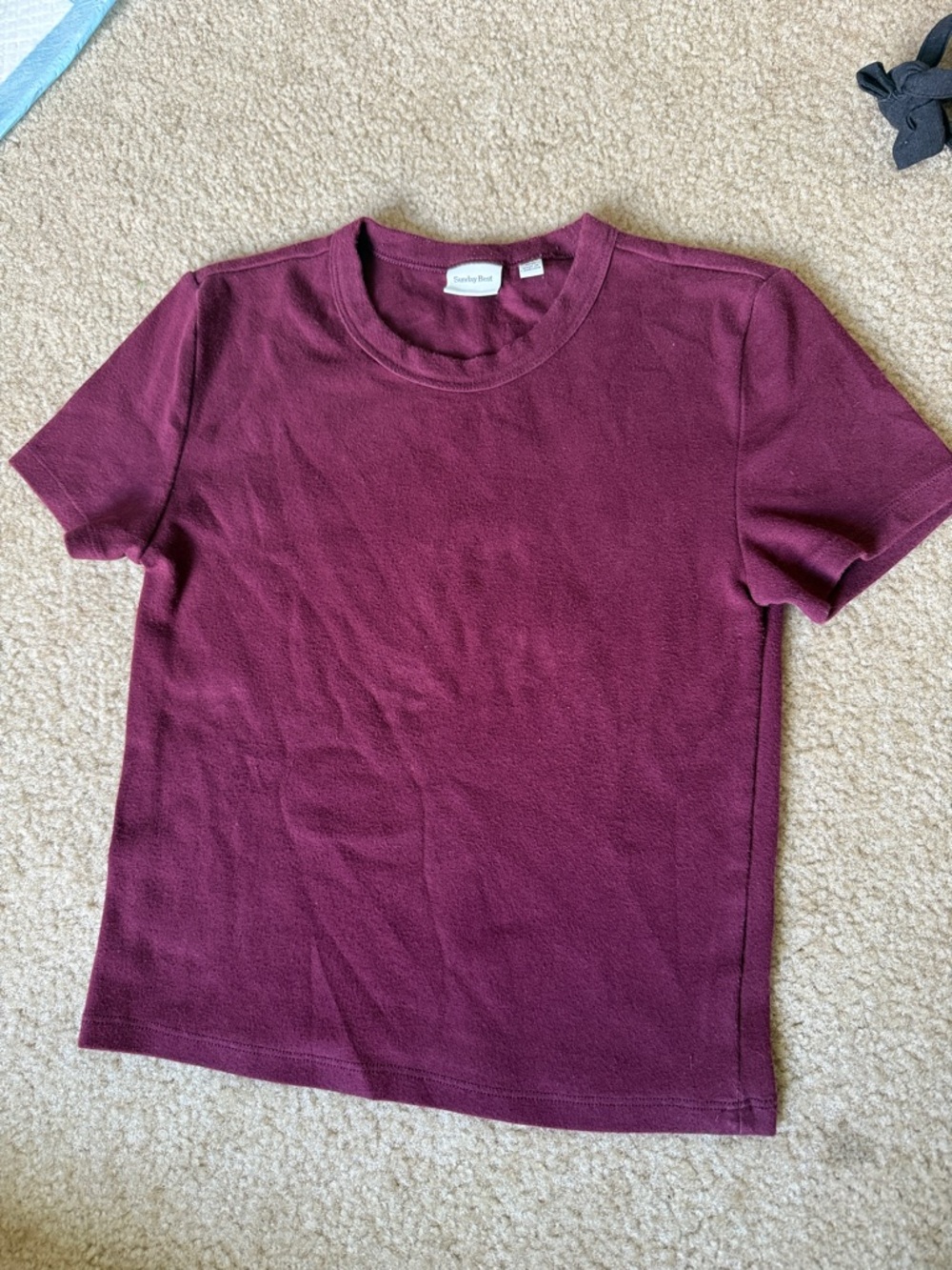 Crewneck Short Sleeve Tee in Deep Wine Aritzia